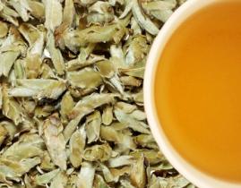 420491_wt-yunnan-silver-bud-ya-bao_thumb.jpg