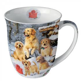 841888_ambiente_becher_golden_retriever_puppies_thumb-2.jpg