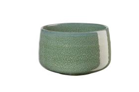 890455-moribana-matsu_shiny_thumb.jpg 890455-moribana-matsu_shiny_thumb.jpg