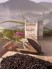 Schwarztee Assam Mangalam TGFOP 1 clonal - naturbelassener schwarzer Tee