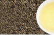 china-white-butterfly1_medium.jpg