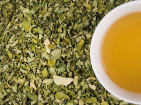 KT Moringa